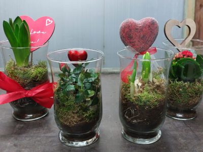 Arrang. Rosen "True Love"-Topf 9 cm