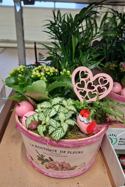 Arrang. in Holzschale rund 22 cm