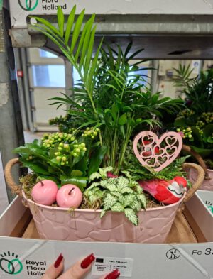 Arrang. in Herzschale oval 26 cm