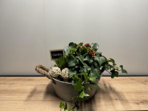 Arrang. in Zinkschale rund 21 cm
