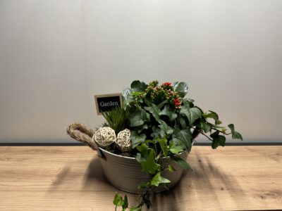 Arrang. in Zinkschale rund 21 cm