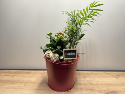 Arrang. im Eimer 25 cm