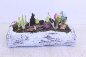 Zwiebelmix in Stamm 37x15 cm