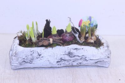 Zwiebelmix in Stamm 37x15 cm