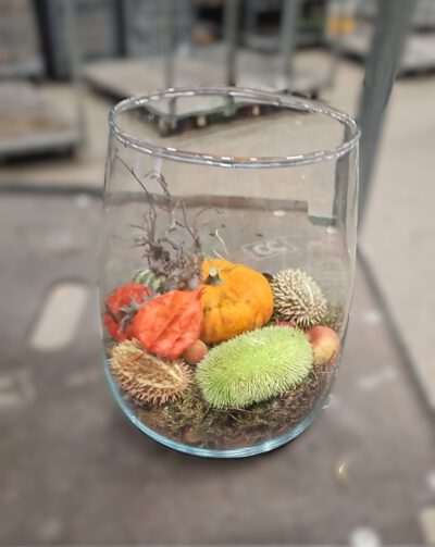Herbstschalen bepflanzt im Glas